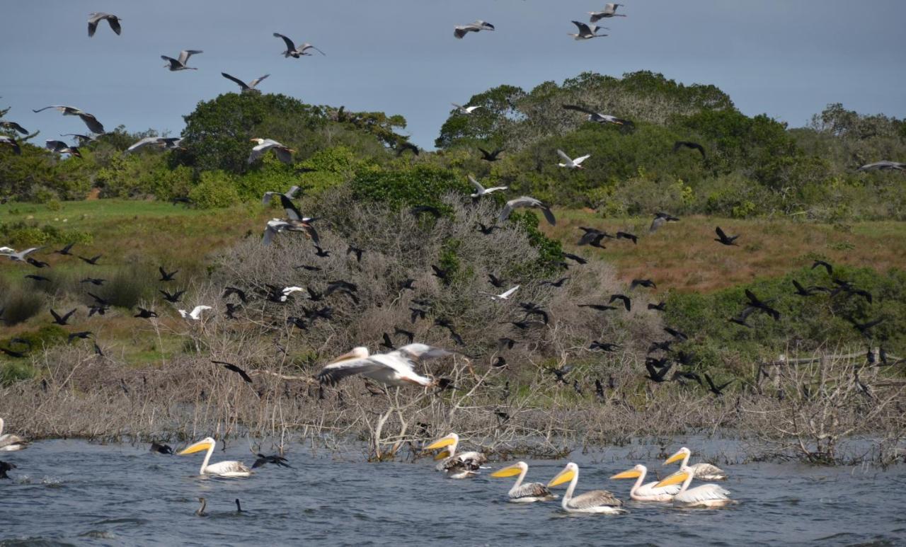 De Hoop Collection - Opstal Houses De Hoop Nature Reserve 外观 照片