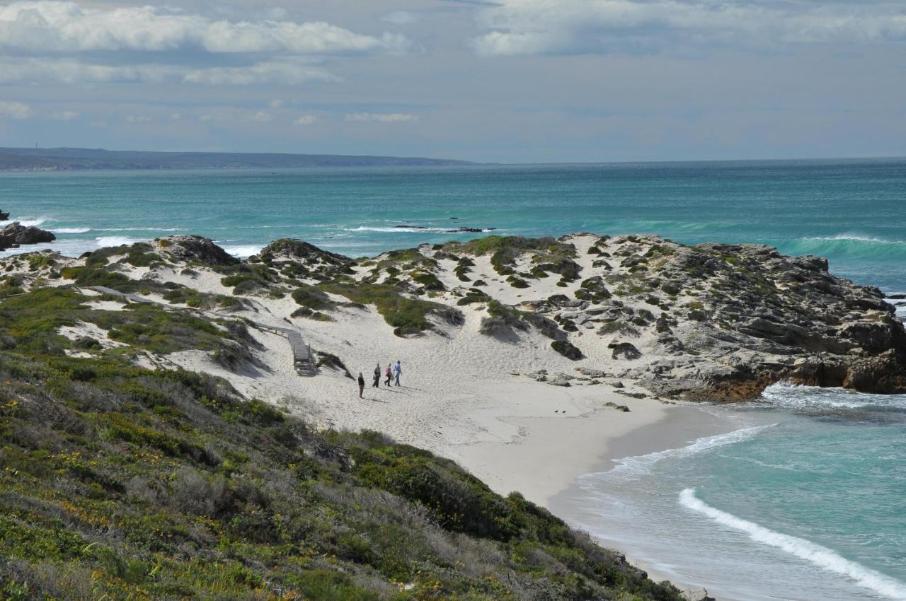 De Hoop Collection - Opstal Houses De Hoop Nature Reserve 外观 照片
