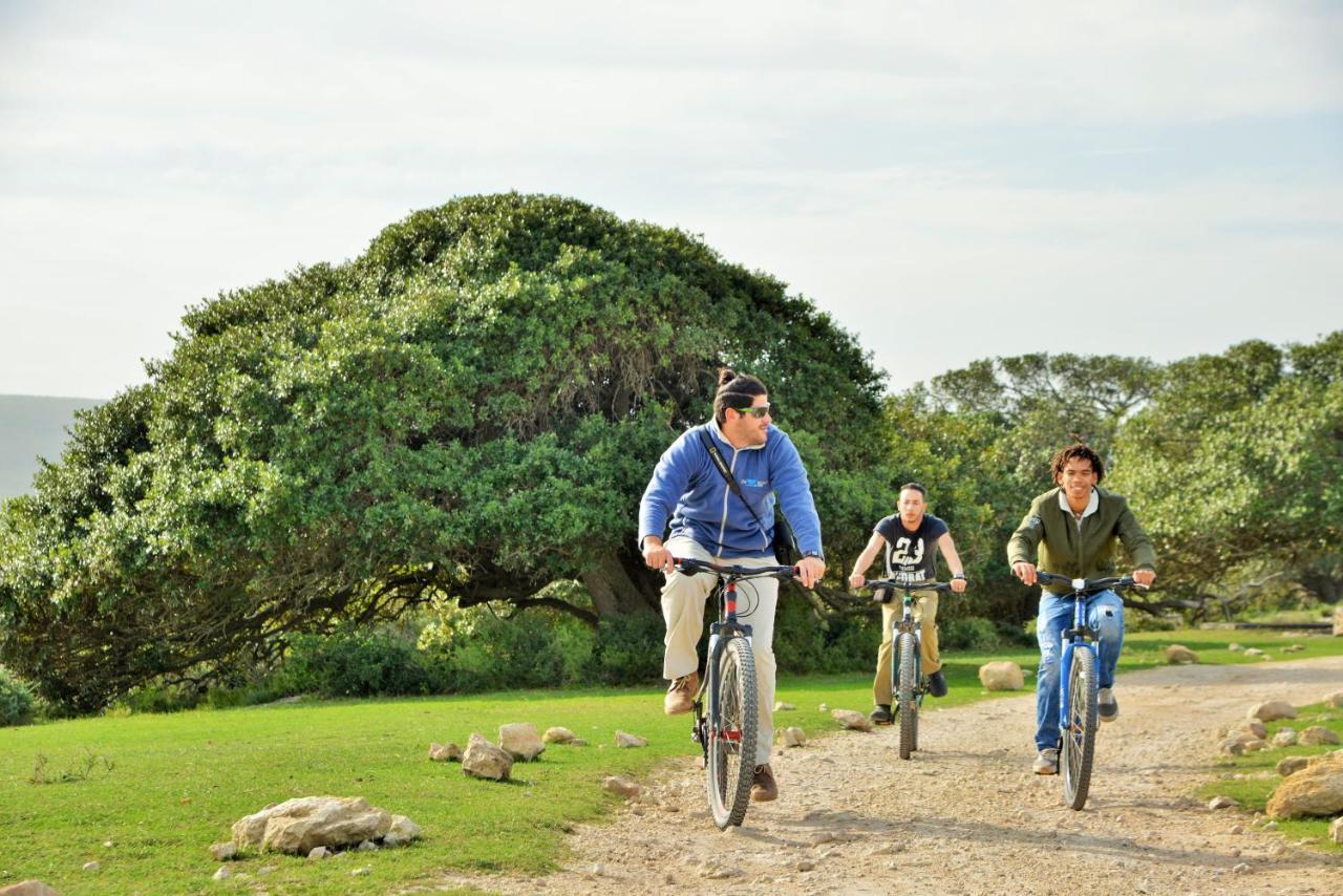 De Hoop Collection - Opstal Houses De Hoop Nature Reserve 外观 照片